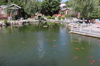 Activity Center